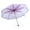 Light Purple, variant on Transparent Folding Umbrella Fashionable Princess Umbrella Cherry Blossom Light Purple