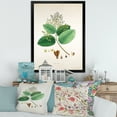 thumbnail image 3 of Designart 'Ancient Botanicals III' Farmhouse Framed Art Print, 3 of 4