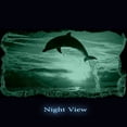 thumbnail image 4 of Startonight 3D Mural Wall Art Photo Decor Dolphin Amazing Dual View Surprise Wall Mural Wallpaper for Bedroom Beach Wall Paper Gift Medium 32.28 ‘’ By 59.06 ‘’, 4 of 4