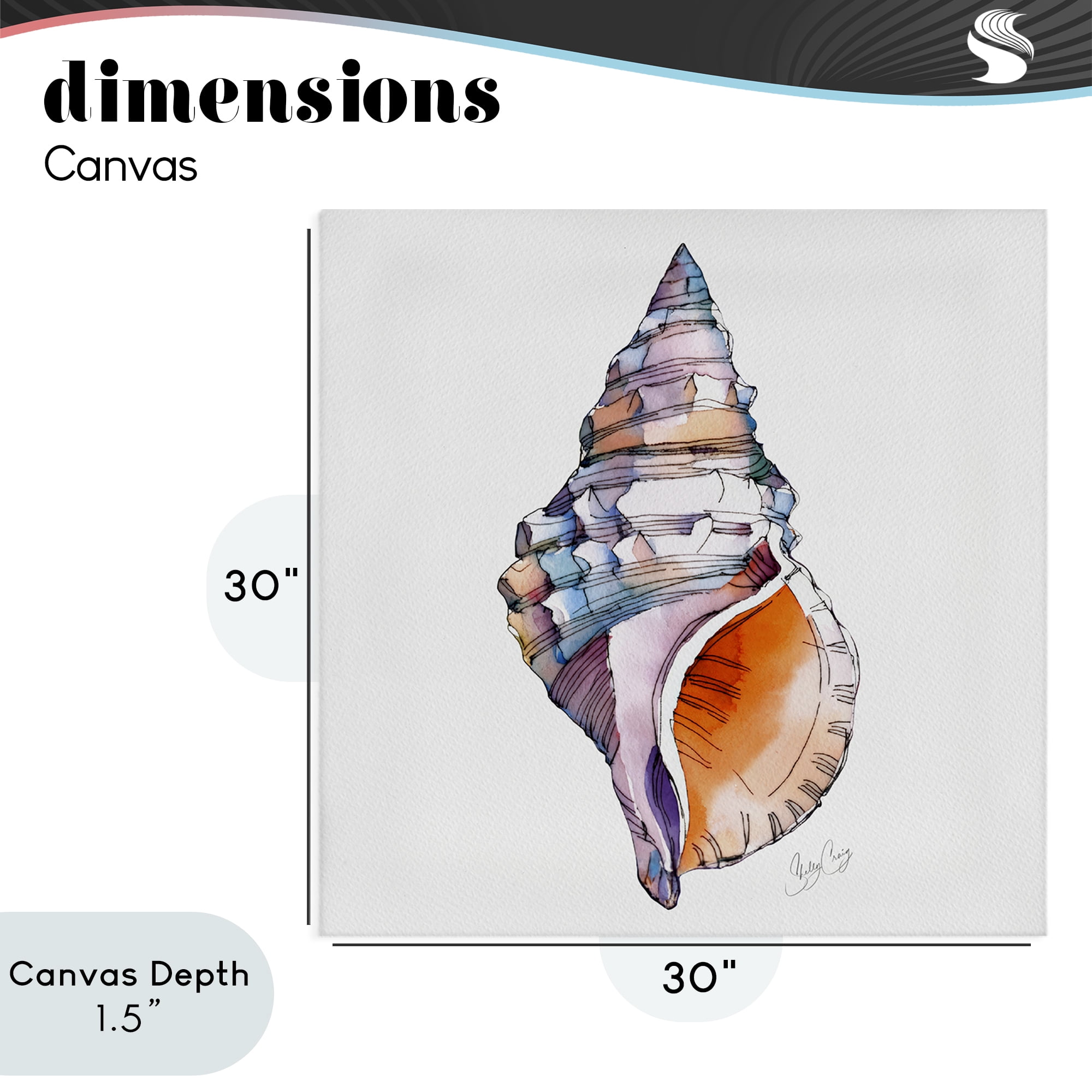 Stupell Industries Sunrise Conch Shell Canvas Wall Art, design by Shelly Craig