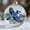 Bluebird, variant on 2026 Nature's Birds Animal Collection Christmas Ball Ornament, 2.75" Handcrafted Animal Clear Plastic Ornament, Sparkling Star Accents for Tree,Eagle