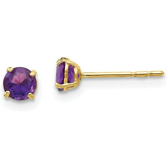 Bonjour Jewelers 24k Yellow Gold Plated 2 Cttw Amethyst Round Stud Earrings