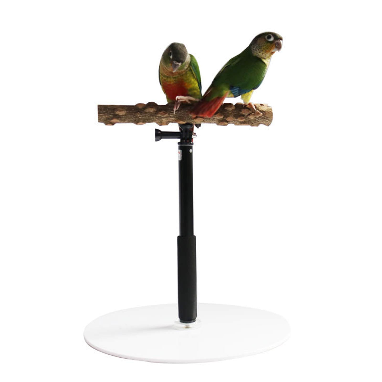 PIVBY Bird Stand Perch Wooden Parrot Cage Training Playstand Toys for Concures Parakeets Lovebirds Cockatiels 