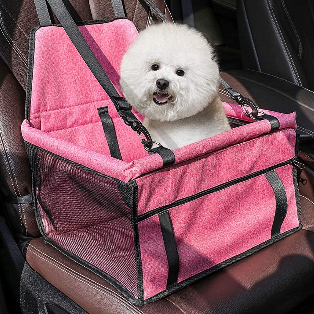 How To Make A Dog Feel Safe In A Car