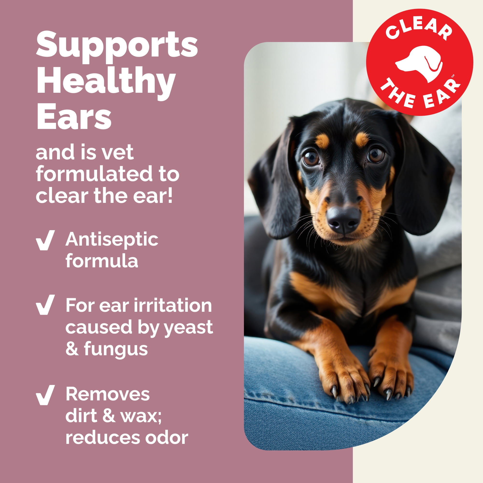 Vetnique Labs OticBliss Advanced Vet Strength Medicated Cat and Dog Ear Cleaning Flush with Chlorhexidine, 4 fl oz