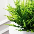 thumbnail image 3 of Pakyozj Artificial Ferns for Outdoors Fake Fern Plants Faux Boston Fern Plant for Room Home Garden Decor, 3 of 6