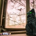 thumbnail image 2 of PMU Halloween Black Cat - Blow Mold Plastic Cat Statue - Perfect Décor for Halloween, Home, Yard, Lawn, Garden, Indoor and Outdoor - Best for Party Favors and Supplies - (Green Eyes) 17 Inch Pkg/1, 2 of 7