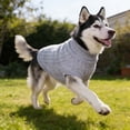 thumbnail image 7 of Ailezt Cat Knitted Winter Warm Sweater Puppy Coat Jacket, 7 of 7