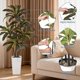 thumbnail image 3 of QinaQin Árbol artificial Dracaena de 4, 5 o 6 pies, hojas real touch y troncos multitonales, con maceta blanca alta para decoración interior, 3 of 8