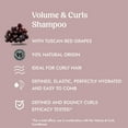 thumbnail image 5 of Itinera Volume  Curls Shampoo (12.51 Fluid Ounce), 5 of 7