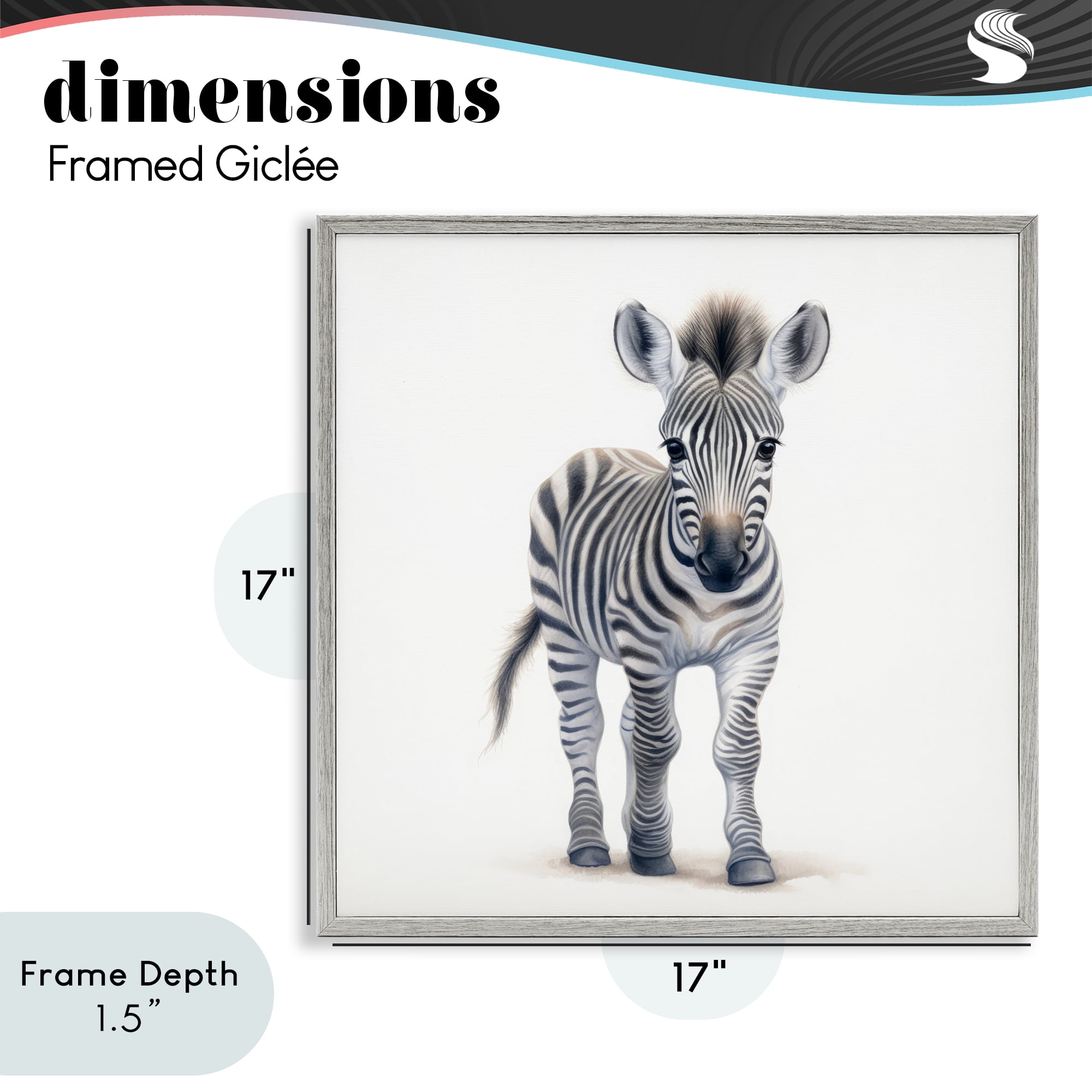 Stupell Industries Friendly Zebra Foal Gray Framed Giclee Art, design by Ray Powers
