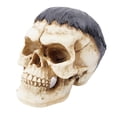 thumbnail image 1 of Cráneo réplica modelo resina cabeza cráneo estatua adecuado accesorios Decoración Sunnimix Cabeza de calavera de resina, 1 of 7