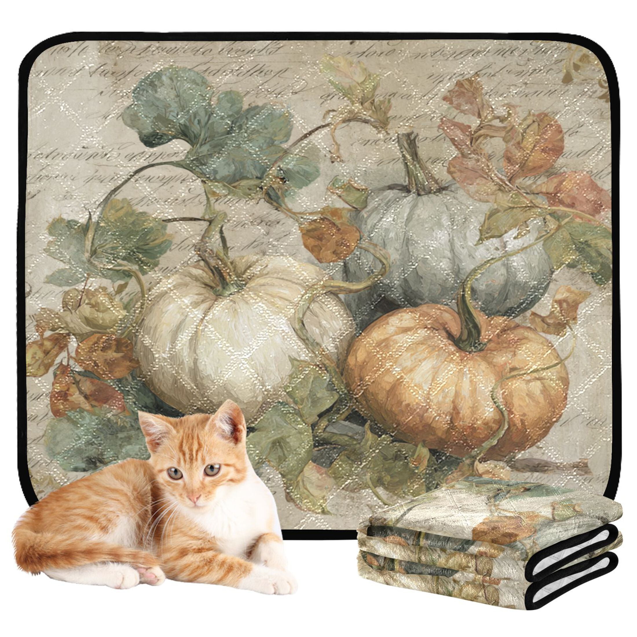 Qxltty Fall Pumpkin Maple Leaf Cat litter Pads Pet Set of 2 Diaper Mats Center Anti-leakage Layer Absorbent Soft and Comfortable