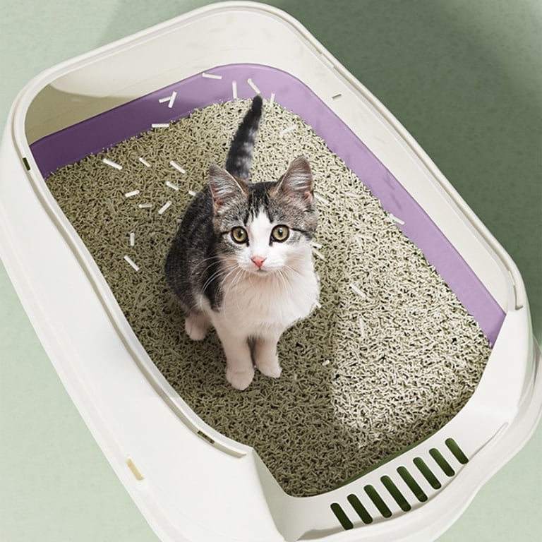 buy royal canin hepatic cat food Royal Canin Feline Health Nutrition Indoor Adult Dry Cat Food  Concord Pet  Foods & Supplies| Delaware, Pennsylvania, New Jersey, Maryland