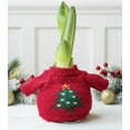 thumbnail image 2 of Christmas Tree Sweater Amaryllis with White Flower, 2 of 3