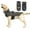 Gray, variant on BT Bear Dog Harness Jacket, High Collar Reflective Dog Jacket with Handle, Warm Dog Cold Weather Coat, Pet Coat Vest for Small Medium Large Dogs Grey S