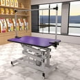 thumbnail image 2 of Demi Bonn 42" Heavy Duty Electric Lifting Pet Dog Grooming Table for Large Dogs with "H" Arm, Anti-Skid Rubber Desktop and Powerful Motor, Purple, 2 of 10