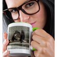 thumbnail image 2 of 3drose, Usa, Alaska, Chilkat Bald Eagle Preserve. Bald Eagles Fighting., 11oz Two-tone Green Mug, 2 of 6