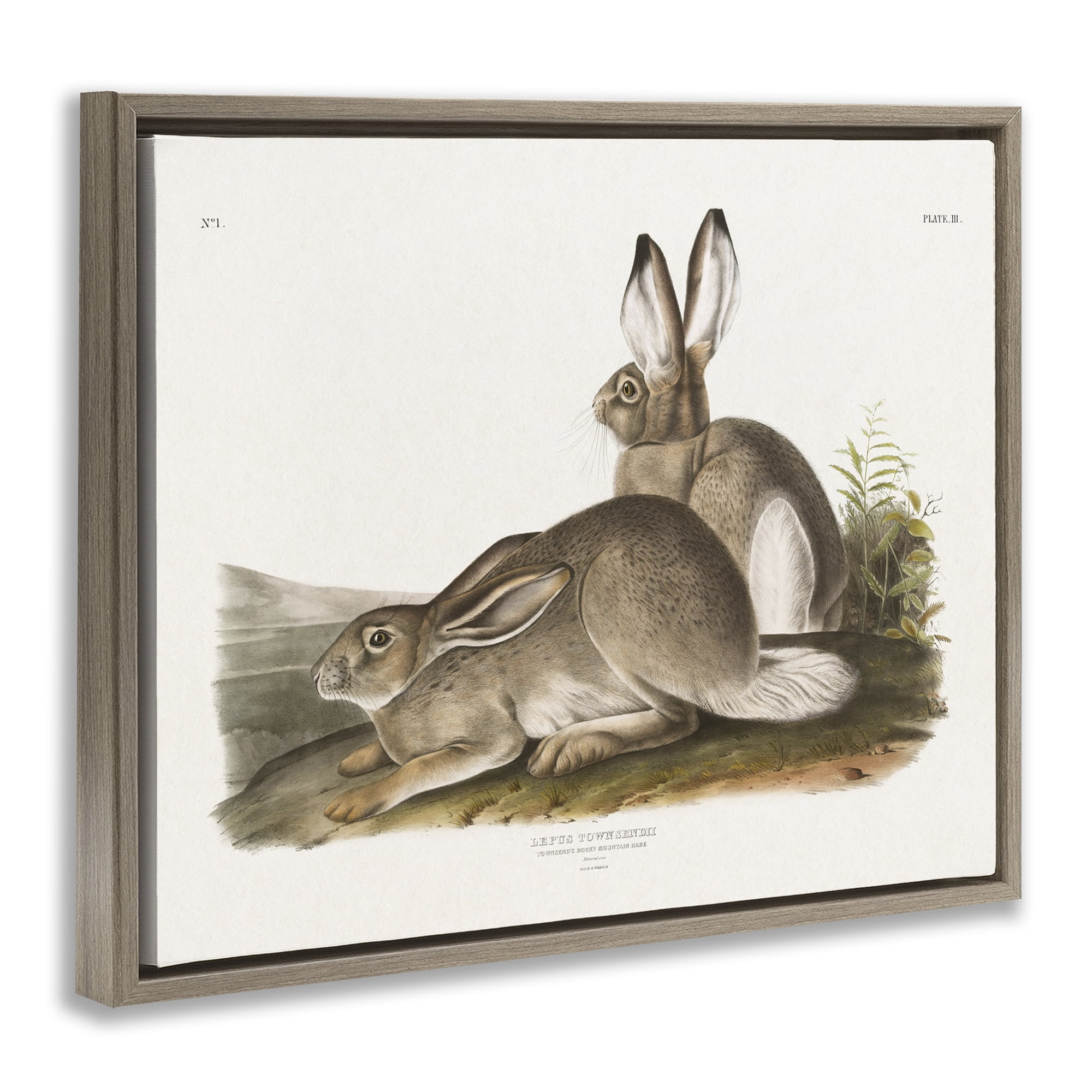 Stupell Industries Traditional Cottage Hare Animals & Insects Painting Brown Floater Framed Canvas Art Print Wall Art, 21 x 17