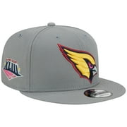 Men's New Era  Gray Arizona Cardinals Color Pack Multi 9FIFTY Snapback Hat