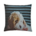 thumbnail image 2 of Ahgly Company Dogs Dogs Coussin Extérieur, 18 Pouces par 18 Pouces, 2 of 6