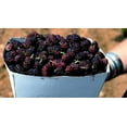 thumbnail image 5 of 15 Graines de Mûrier Rouge Morus Rubra Fruit Buisson / Arbre, 5 of 5