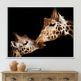 thumbnail image 2 of Designart 'Close UP Of Two Giraffes Kissing II' Farmhouse Framed Canvas Wall Art Print, 2 of 5
