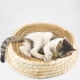 thumbnail image 5 of Nido de paja para gatos Ormromra tejido a mano caja redonda transpirable, 5 of 8