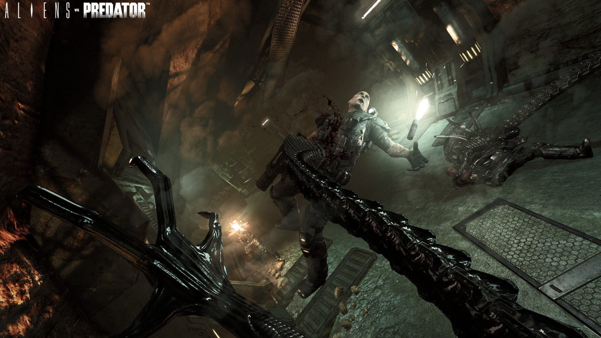 Alien Vs Predator (PC)