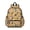 Boston Terrier and, variant on Cavalier King Charles Spaniel and Floral Backpack for School, Cute School Bag with Adjustable Shoulder Straps and Padded Back, 13.4"x11"x4.7"