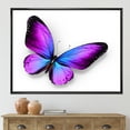 thumbnail image 2 of Designart 'Blue and Violet Butterfly' Modern Framed Canvas Wall Art Print, 2 of 5