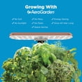 thumbnail image 4 of Jardín hidropónico interior AeroGarden Harvest Lite Mocha, 4 of 9