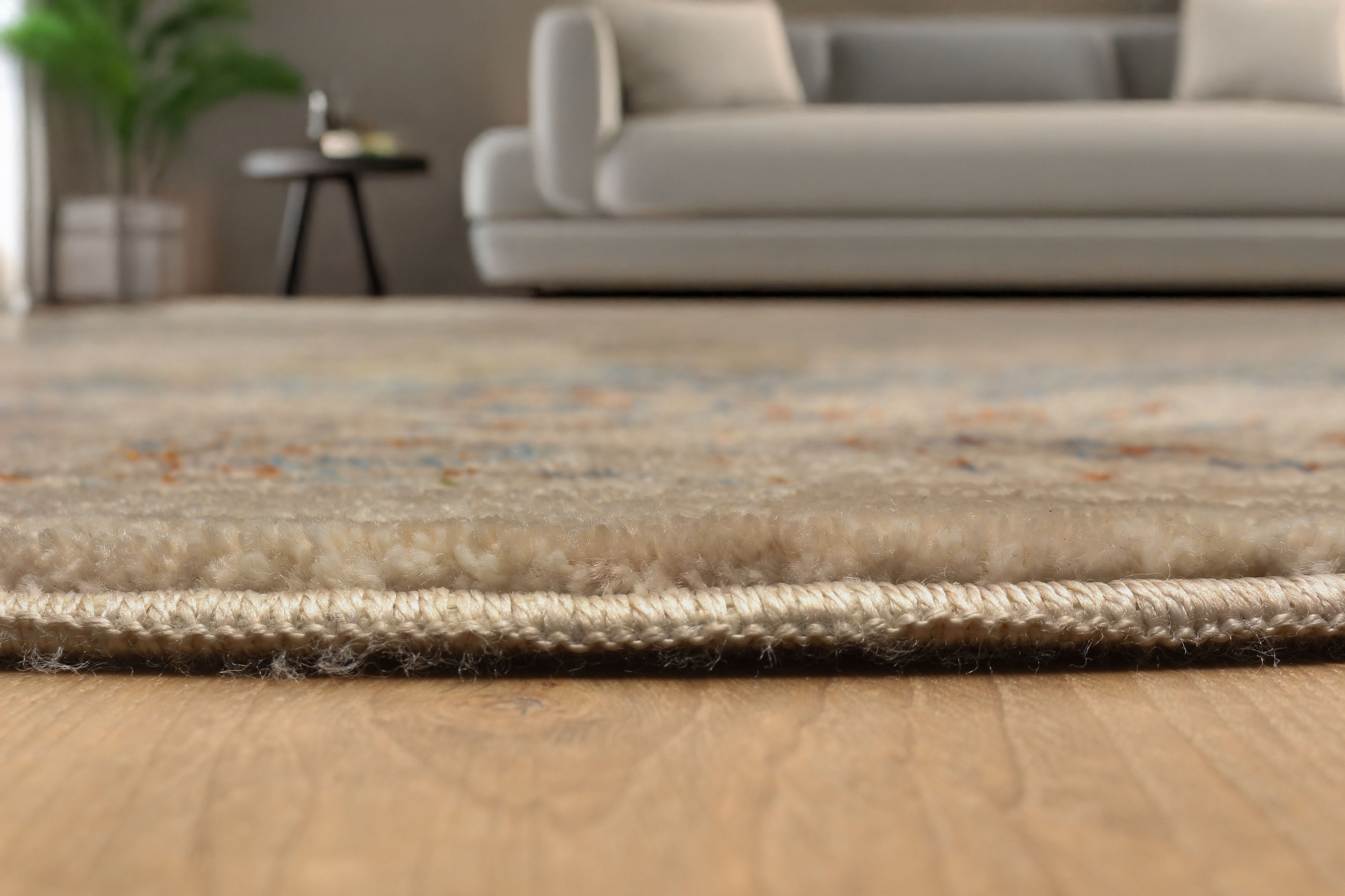 ECARPET Ethel Traditional Area Rug for Living Room, Bedroom, Dining Room, Entrance, Hallway and More.