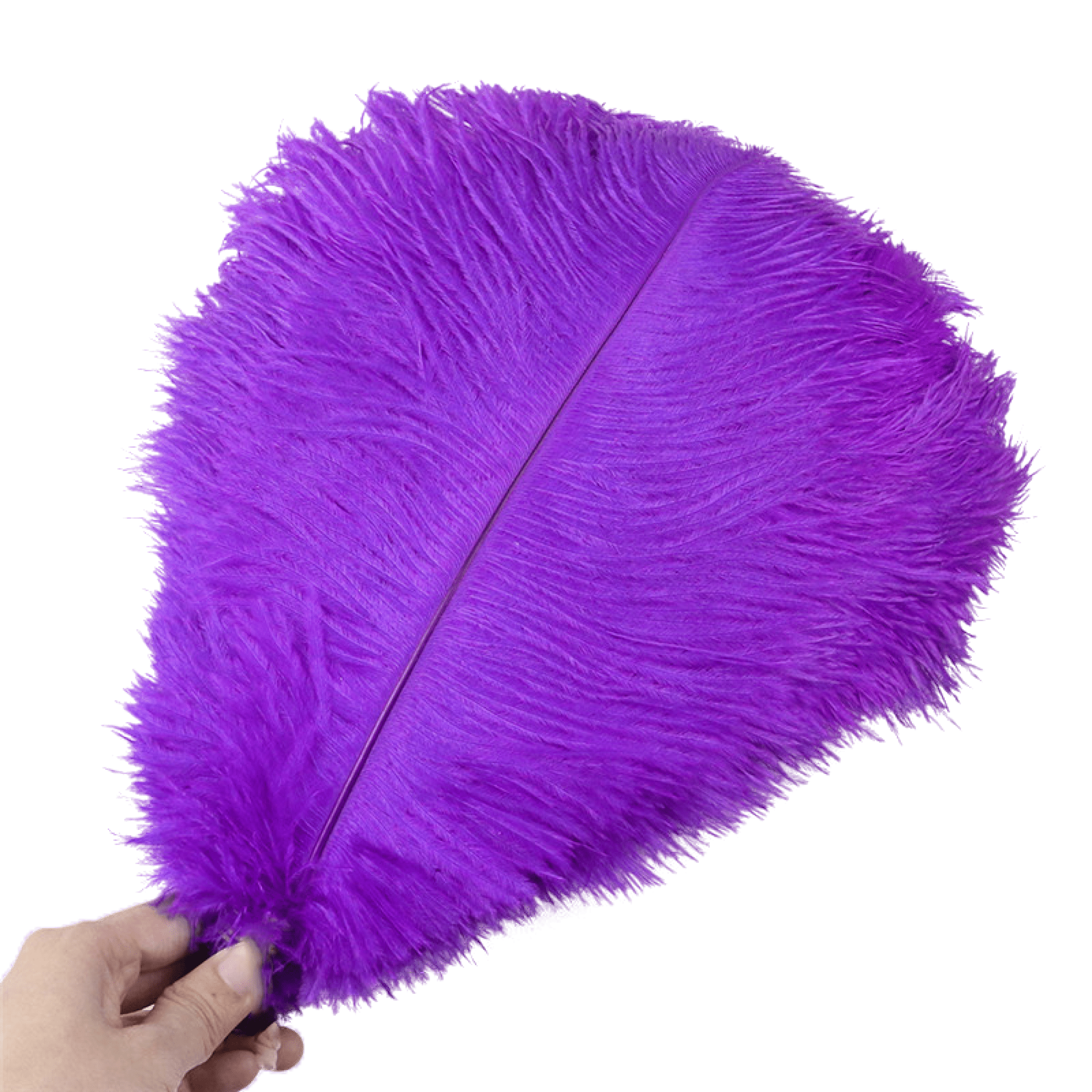 EUBUY 10Pcs Colorful Natural Ostrich Feathers Party Carnaval Wedding ...