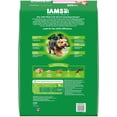 thumbnail image 3 of IAMS Proactive Health Dry Dog Food for Small Breeds, Adult Dog Food Dry Recipe, 15 lb. Bag, 3 of 11