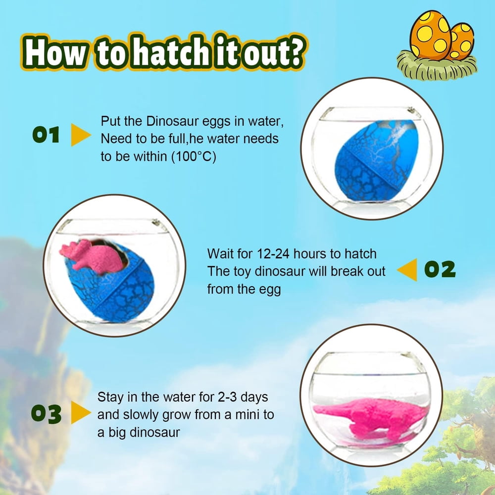 How to hatch a water expanding dinosaur egg