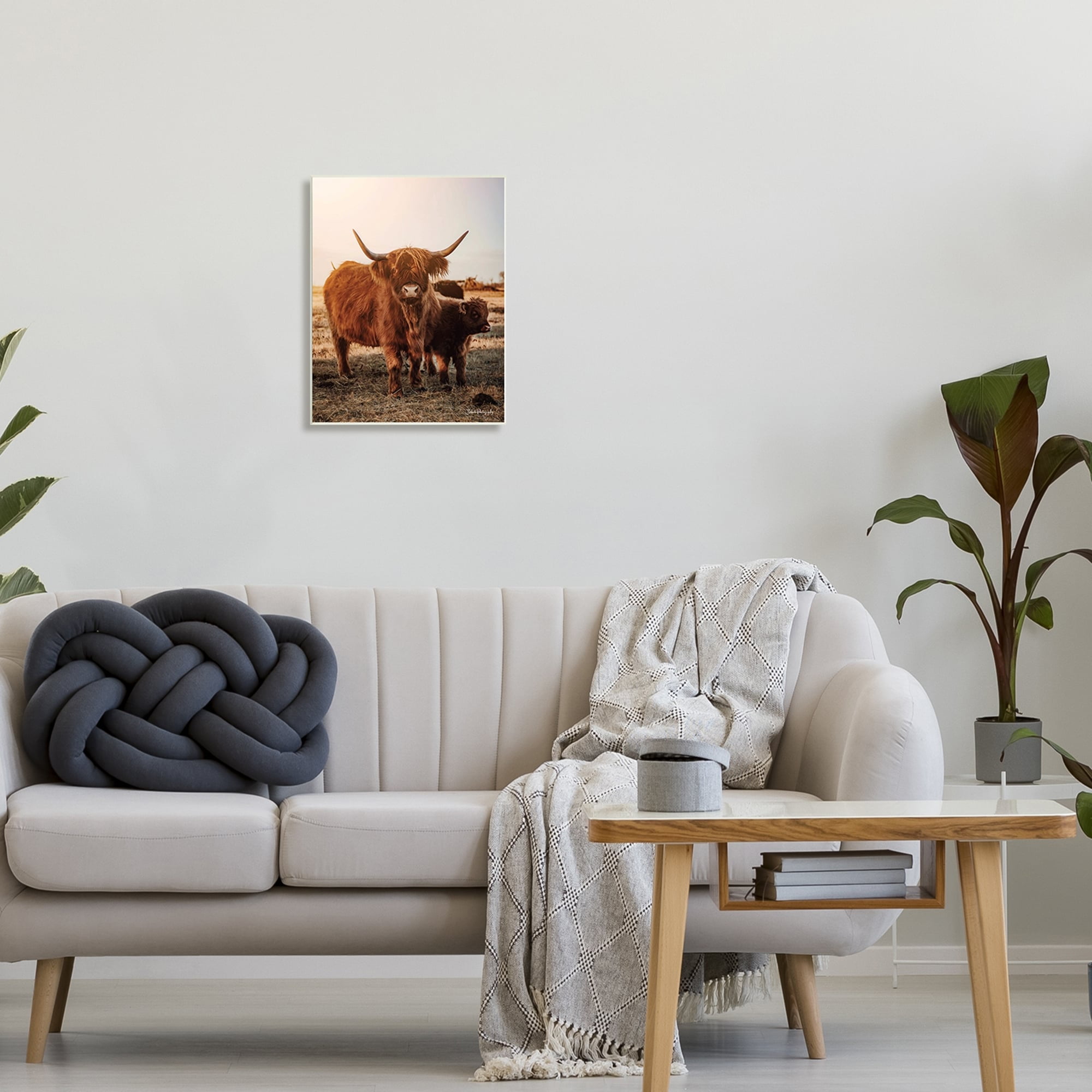 Stupell Industries Longhorn Highland Cattle Cow Warm Sunrise Morning Photograph Unframed Art Print Wall Art, Design by Dakota Diener