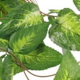 thumbnail image 3 of 1Pack Light Green Plastic Reptile Tank Plant for Aquarium Decor Lifelike Leaf Pattern, 3 of 8