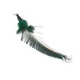 thumbnail image 4 of 8PCS Cat Wand Toy Set Interactive Fake Feather Kitten Toy Cat Teaser Toys, 4 of 10