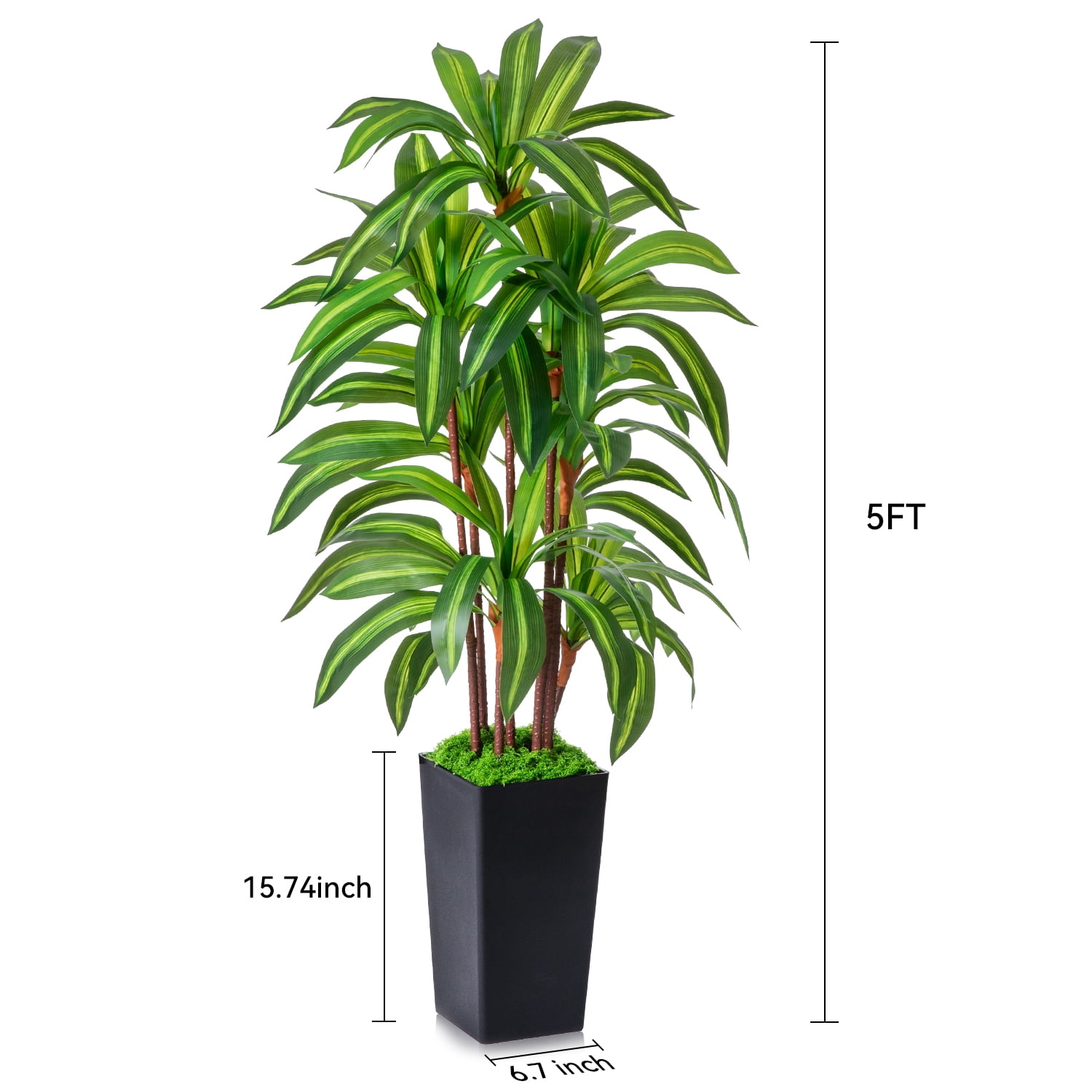NOVAROOT Artificial Dracaena Tree 5FT, Faux Tree with Black Tall Planter, Fake Tropical Floor Plant, Artificial Silk Tree for Home Office Living Room Decor Indoor