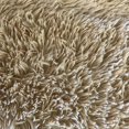 thumbnail image 1 of Soft Fluffy Area Rug, Washable Silk-Wool PV Fleece, Non-Slip, Family and pet Friendly Living Room Rug (Beige,20×32 inch), 1 of 1