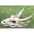 thumbnail image 5 of Ebros Large Elder Dragon Skull Statue Legendary Erathia Fossil Skeleton 18"L Figurine, 5 of 7