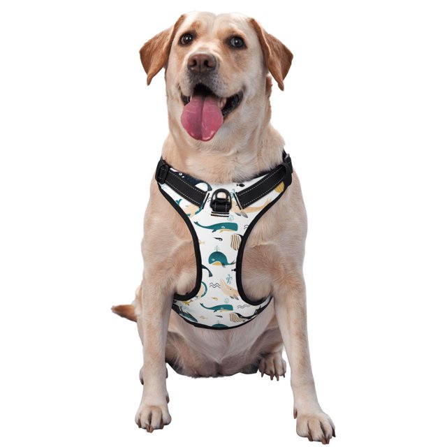 Fotbe Cute Whale Arnés para Perro con Estampado –Chaleco Ajustable Acolchado con Asa de Control para Perros Grandes-Medium