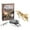 C, variant on Cameland Dinosaur Fossil Toy Archaeological Excavation Educational Toy