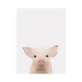 thumbnail image 3 of Straatsma, Leah 15x18 Black Modern Framed Museum Art Print Titled - Piglet Gray, 3 of 5