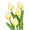 Beige Yelloe, variant on 5 Pcs Artificial Flowers Faux Tulip Stems Real Feel PU Tulips for Easter Spring Wreath Wedding Bouquet Centerpiece Floral Arrangement Cemetery Table Décor 13.39" Tall