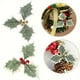 thumbnail image 3 of Kit de bordado DIY para principiantes con diseños florales europeos, 3 agujas, tela estampada, instrucciones y bastidor de 20 cm. NCHKUN, 3 of 4