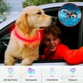 thumbnail image 3 of Light Up Dog Collars, Single-Color USB Rechargeable LED Dog Collar 1 Count, TPU Cuttable Size Glow Collar for Dogs, Dog Collar Light, Please Do Not Use Fast Charging, 3 of 6