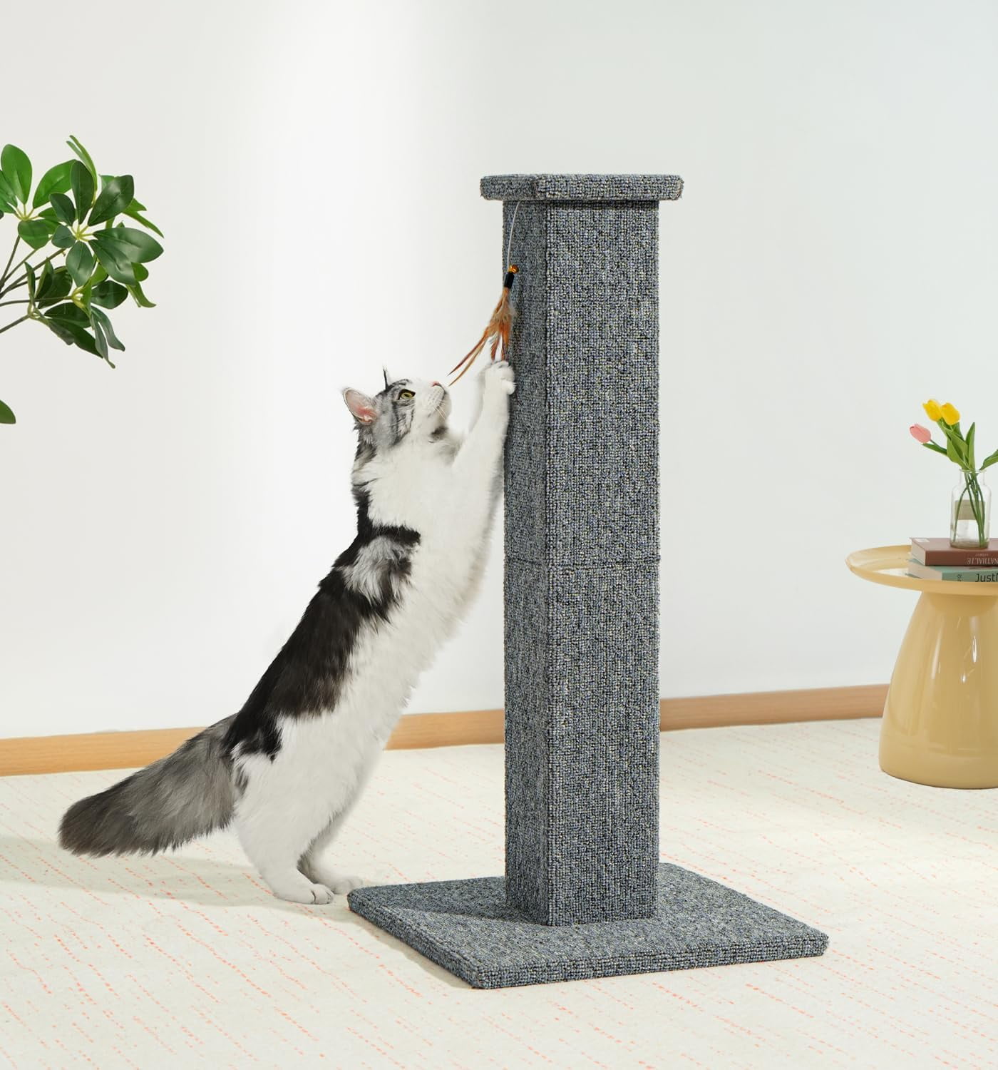 s  Scratching Post, 32 Inch Carpet Covered  Scratcher with Kitten Toy, Tall Scratching Post for Indoor Cats Adults and Kittens,