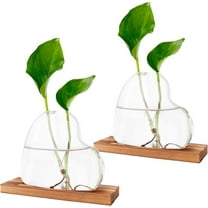 Propagation Vases for Plants with Wooden Stand, 2-Pack Heart-Shaped  Glass Planter for Indoor Plants Hydroponic Growing -Terrarium Vase for Spider Plants, Pothos, Office Desk Decor, Brown